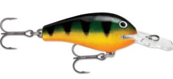 Rapala Fat Rap 05 Deep Diving Crankbait -Fishing Sports Shop fr05p