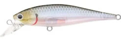 Lucky Craft Pointer 65 Suspending Jerkbait 9 Lucky Craft Pointer 65 Suspending Jerkbait -Fishing Sports Shop ghost 2Bminnow