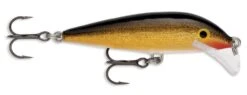 Rapala SRCD07 Scatter Rap Countdown 07 Balsa Minnow -Fishing Sports Shop gold 964c47e3 8c9d 4d6b 8cb9 47d6f6a6698c