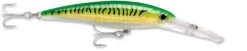 Rapala X-Rap Magnum 40 Big Game Slash Bait -Fishing Sports Shop gold green mackerel c36aafcc 55b7 4b87 b976 933cb1f68086