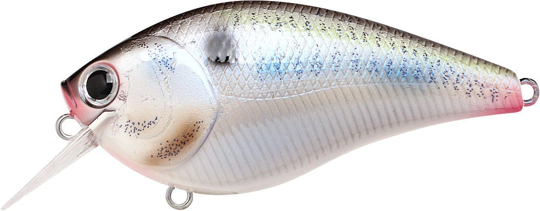 Lucky Craft LC 2.5 Shallow Squarebill Crankbait 18 Lucky Craft LC 2.5 Shallow Squarebill Crankbait - Image 16