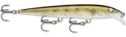 Rapala Scatter Rap Minnow 11 Casting/Trolling Plug -Fishing Sports Shop live walleye 5af2ce87 eb4b 4567 b66d 972936a1b7db
