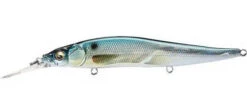 Megabass Ito Vision 110 + 1 Jerkbait -Fishing Sports Shop megabass ito vision 110 plus 1 gg threadfin shad zoom 1f96cb0a c508 4f72 ab3d 13563470f641