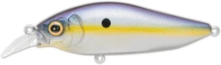 Megabass Flap Slap -Fishing Sports Shop megabass sexy shad