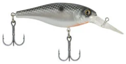 Berkley Bad Shad Medium Diving Crankbait -Fishing Sports Shop midnight pearl