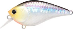 Lucky Craft LC 2.5 Shallow Squarebill Crankbait 35 Lucky Craft LC 2.5 Shallow Squarebill Crankbait -Fishing Sports Shop ms 2Bimpulse 2Bshad