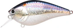 Lucky Craft LC 2.5 Shallow Squarebill Crankbait 34 Lucky Craft LC 2.5 Shallow Squarebill Crankbait -Fishing Sports Shop ms american shad