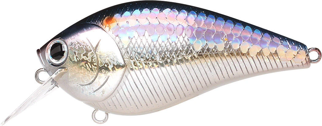 Lucky Craft LC 2.5 Shallow Squarebill Crankbait 15 Lucky Craft LC 2.5 Shallow Squarebill Crankbait - Image 13