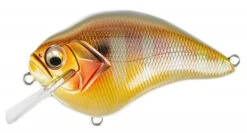 Megabass S Crank 1.2 Shallow Squarebill Crankbait -Fishing Sports Shop s crank pm gill