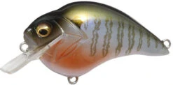 Megabass S Crank 1.2 Shallow Squarebill Crankbait -Fishing Sports Shop s crank secret gill