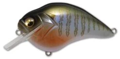 Megabass S Crank 1.5 Shallow Squarebill Crankbait -Fishing Sports Shop s crank secret gill 07e55e88 ad47 438f ab3f 06e0e1e60711