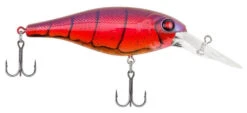 Berkley Bad Shad Medium Diving Crankbait -Fishing Sports Shop special red craw