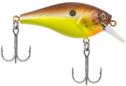 Berkley SquareBull 2 3/8 Inch Shallow Squarebill Crankbait -Fishing Sports Shop squarebull brown mustard 81da5849 8ea2 4f4e b46f 0980ead1b2b1
