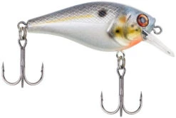 Berkley SquareBull 2 3/8 Inch Shallow Squarebill Crankbait -Fishing Sports Shop squarebull sexier shad 1d609b07 b72e 43cb ae5f 8f3b1f1c079e