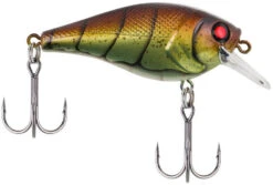 Berkley SquareBull 2 3/8 Inch Shallow Squarebill Crankbait -Fishing Sports Shop squarebull vintage craw 80989045 ac81 41fe b62e aacb608a8003