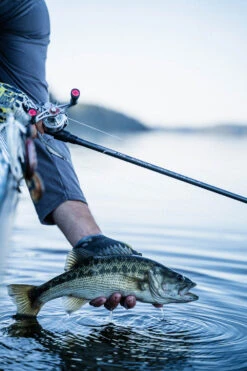 Temple Fork Outfitters Tactical Elite Bass Baitcasting Rods 24 Temple Fork Outfitters Tactical Elite Bass Baitcasting Rods -Fishing Sports Shop tfo tactical elite bass bottom banner lifestyle 1 1