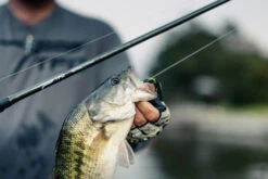 Temple Fork Outfitters Tactical Elite Bass Swimbait Casting Rods 20 Temple Fork Outfitters Tactical Elite Bass Swimbait Casting Rods -Fishing Sports Shop tfo tactical elite bass bottom banner lifestyle 5 1 73339f39 bce7 4dcd 992e bb5a21a97248