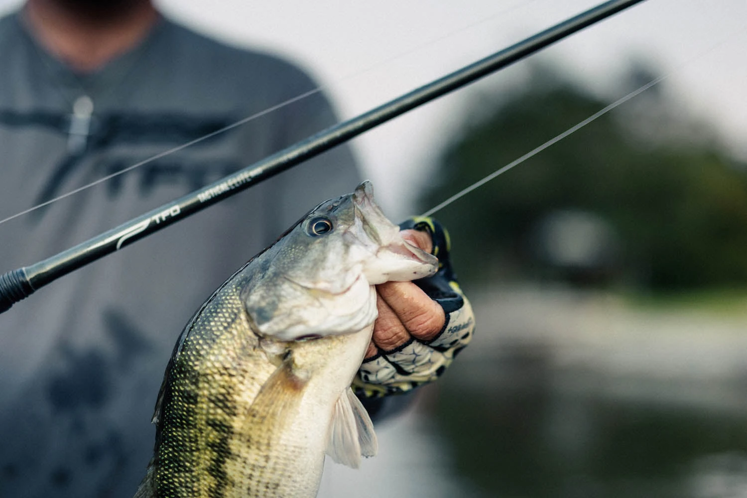 Temple Fork Outfitters Tactical Elite Bass Swimbait Casting Rods 11 Temple Fork Outfitters Tactical Elite Bass Swimbait Casting Rods - Image 9