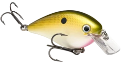 Strike King KVD Magnum Square Bill 8.0 Silent Crankbaits 38 Strike King KVD Magnum Square Bill 8.0 Silent Crankbaits -Fishing Sports Shop tn shad