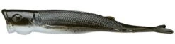 Z-Man Pop ShadZ 4 Inch Soft Plastic Popper 3 Pack -Fishing Sports Shop z man pop shadz mud minnow df09696b 18f9 409a 90f1 b83a3d205f58